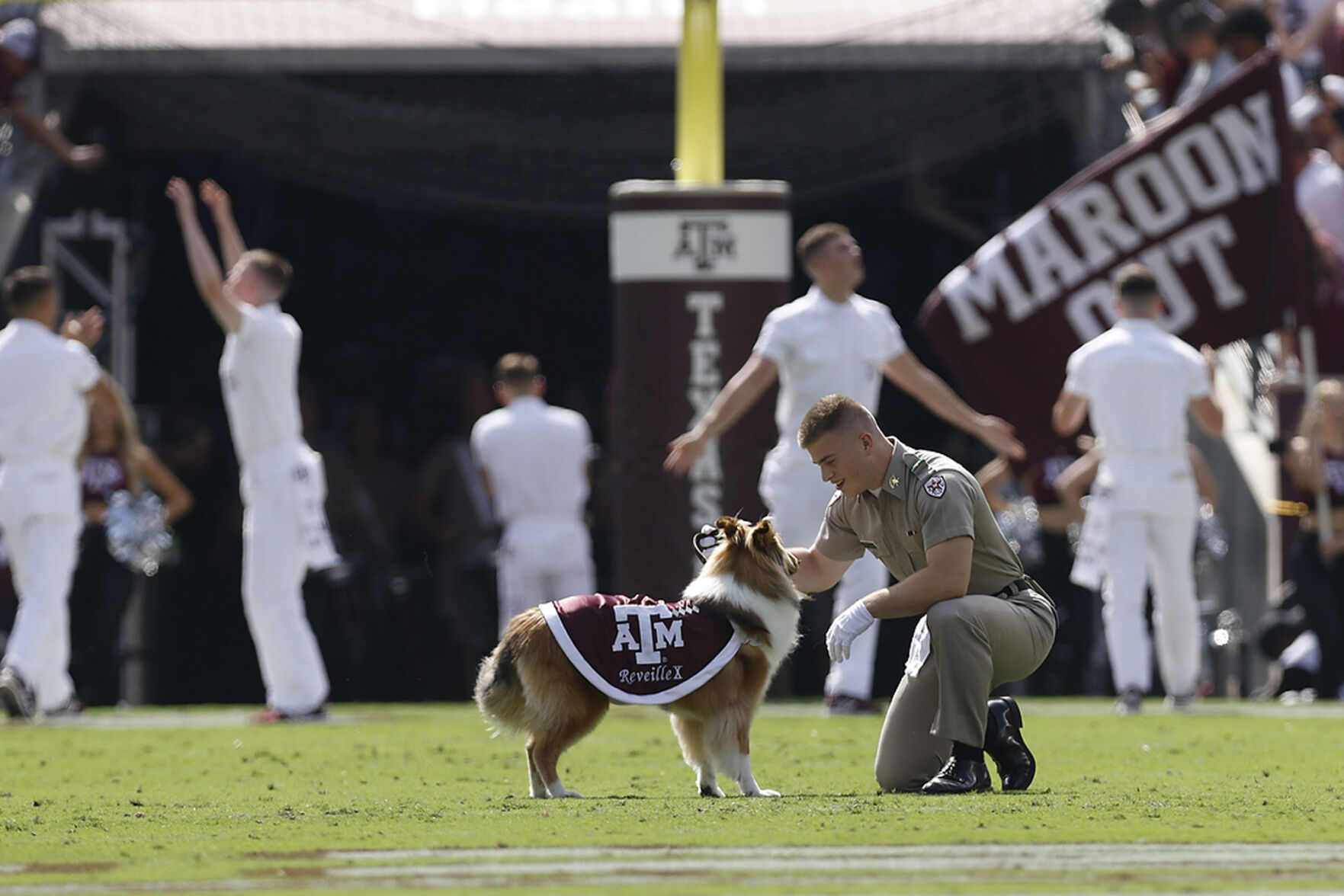 Texas A&M vs New Mexico
